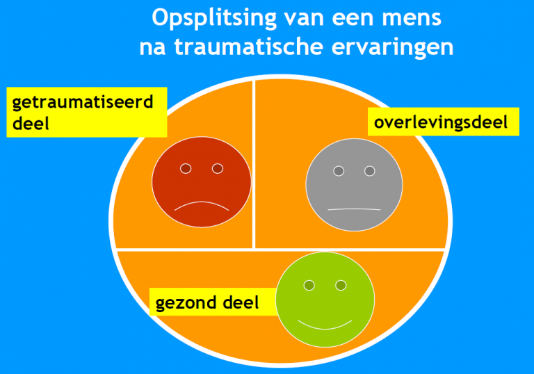 Wat Is IoPT? - Zielsbelang